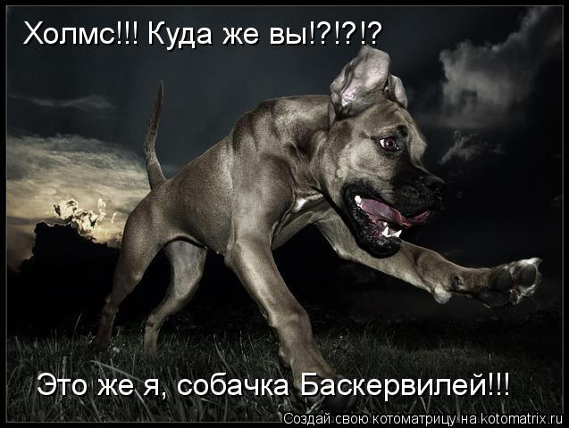 Холмс!!! Куда же вы!?!?!? Это же я, собачка Баскервилей!!!... Котоматрица: Холмс!!! Куда же вы!?!?!? Это же я, собачка Баскервилей!!!