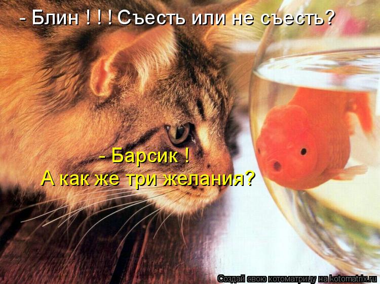- Блин ! ! ! Съесть или не съесть? - Барсик ! А как же три желания?... Котоматрица: - Блин ! ! ! Съесть или не съесть? - Барсик ! А как же три желания?
