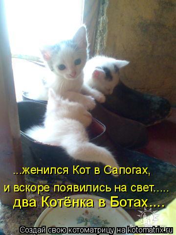 ...женился Кот в Сапогах, и вскоре появились на свет..... два Котёнка в Ботах....... Котоматрица: ...женился Кот в Сапогах, и вскоре появились на свет..... два Котёнка в Ботах....