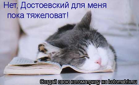 Нет, Достоевский для меня пока тяжеловат!... Котоматрица: Нет, Достоевский для меня пока тяжеловат!