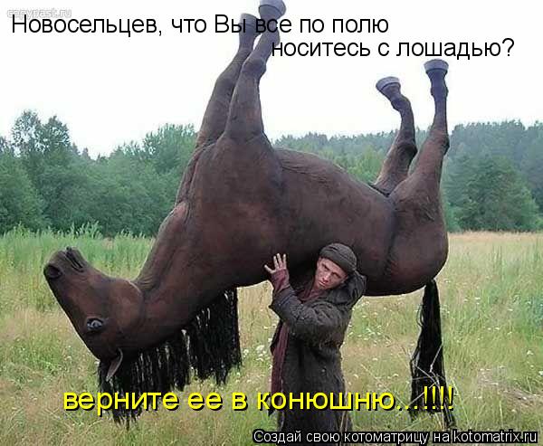 Новосельцев, что Вы все по полю носитесь с лошадью? верните ее в конюшню...!!!!... Котоматрица: Новосельцев, что Вы все по полю носитесь с лошадью? верните ее в конюшню...!!!!