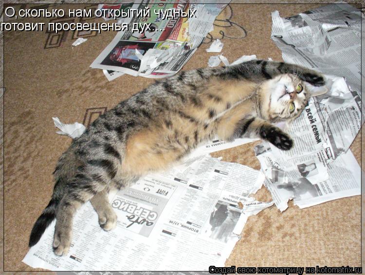 О,сколько нам открытий чудных готовит просвещенья дух....... Котоматрица: О,сколько нам открытий чудных готовит просвещенья дух....