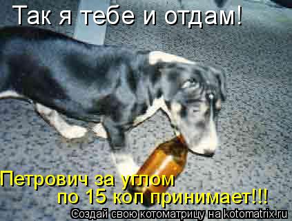 Так я тебе и отдам! Петрович за углом по 15 коп принимает!!!... Котоматрица: Так я тебе и отдам! Петрович за углом по 15 коп принимает!!!