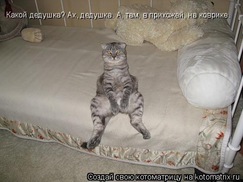 Какой дедушка? Ах, дедушка… А, там, в прихожей, на коврике…... Котоматрица: Какой дедушка? Ах, дедушка… А, там, в прихожей, на коврике…