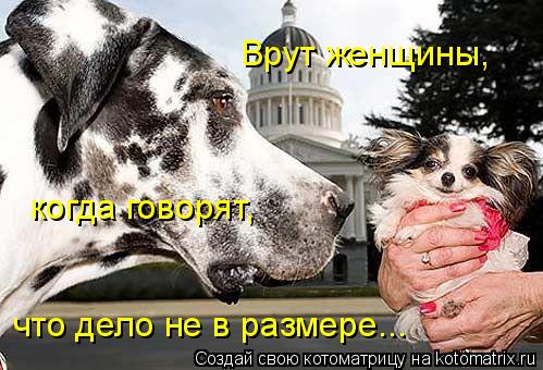 Врут женщины, когда говорят, что дело не в размере...... Котоматрица: Врут женщины, когда говорят, что дело не в размере...