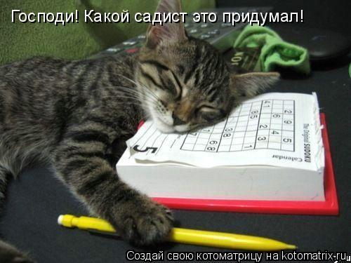Господи! Какой садист это придумал!... Котоматрица: Господи! Какой садист это придумал!