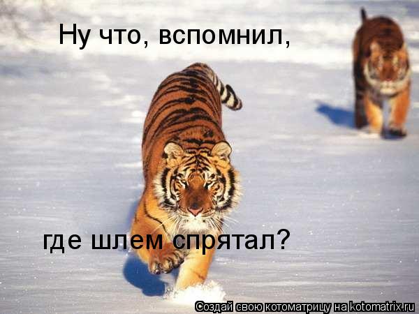 Ну что, вспомнил, где шлем спрятал?... Котоматрица: Ну что, вспомнил, где шлем спрятал?