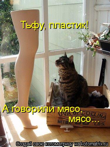 Тьфу, пластик! А говорили мясо, мясо...... Котоматрица: Тьфу, пластик! А говорили мясо, мясо...