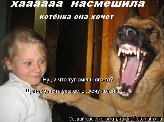 Ну , а что тут смешного-то? Щенок у меня уже есть...хочу котенка...... Котоматрица: Ну , а что тут смешного-то? Щенок у меня уже есть...хочу котенка...