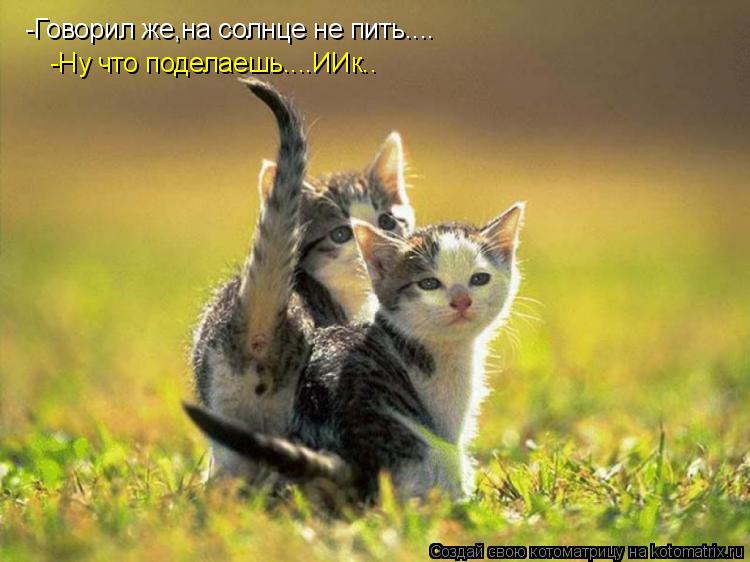 -Говорил же,на солнце не пить.... -Говорил же,на солнце не пить.... -Ну что поделаешь....ИИк..... Котоматрица: -Говорил же,на солнце не пить.... -Говорил же,на солнце не пить.... -Ну что поделаешь....ИИк..