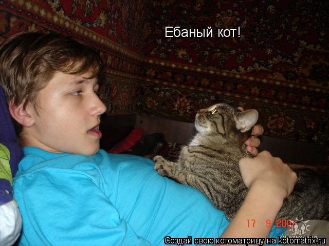 Ебаный кот!... Котоматрица: Ебаный кот!