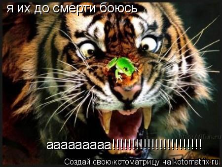 ааааааааа!!!!!!!!!!!!!!!!!!!!!!! ааааааааа!!!!!!!!!!!!!!!!!!!!!!! я их до смерти боюсь... Котоматрица: ааааааааа!!!!!!!!!!!!!!!!!!!!!!! ааааааааа!!!!!!!!!!!!!!!!!!!!!!! я их до смерти боюсь
