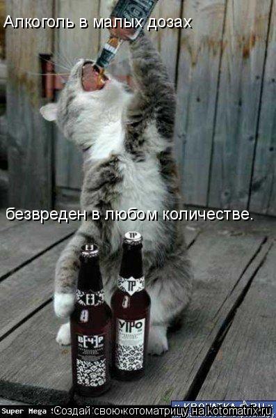 Алкоголь в малых дозах безвреден в любом количестве.... Котоматрица: Алкоголь в малых дозах безвреден в любом количестве.