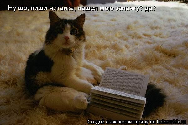 Ну шо, пиши-читайка, нашел мою заначку? да?... Котоматрица: Ну шо, пиши-читайка, нашел мою заначку? да?