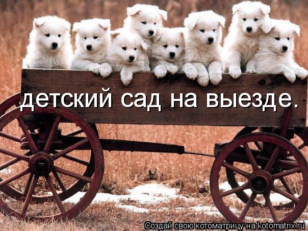 детский сад на выезде.... Котоматрица: детский сад на выезде.