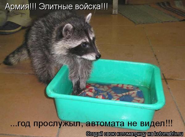 Армия!!! Элитные войска!!! ...год прослужыл, автомата не видел!!!... Котоматрица: Армия!!! Элитные войска!!! ...год прослужыл, автомата не видел!!!