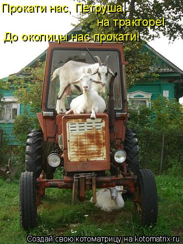Котоматрица: Прокати нас, Петруша,  на тракторе! До околицы нас прокати!