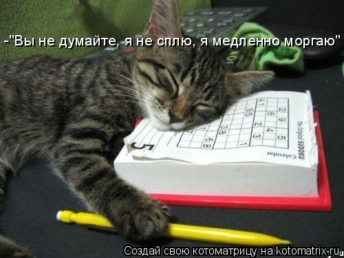 -"Вы не думайте, я не сплю, я медленно моргаю"... Котоматрица: -"Вы не думайте, я не сплю, я медленно моргаю"