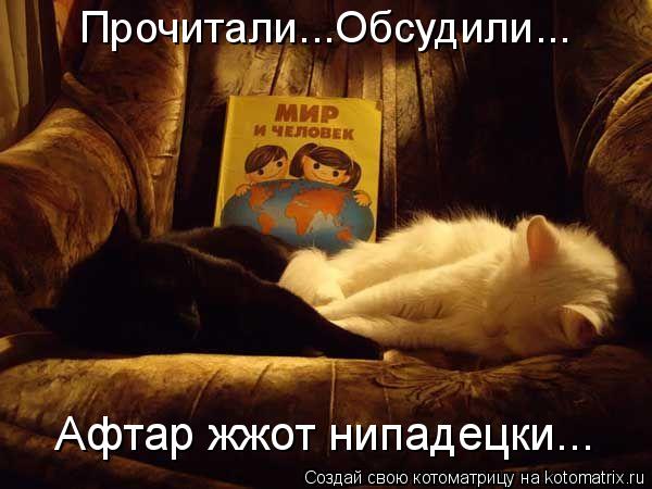 Прочитали...Обсудили... Афтар жжот нипадецки...... Котоматрица: Прочитали...Обсудили... Афтар жжот нипадецки...