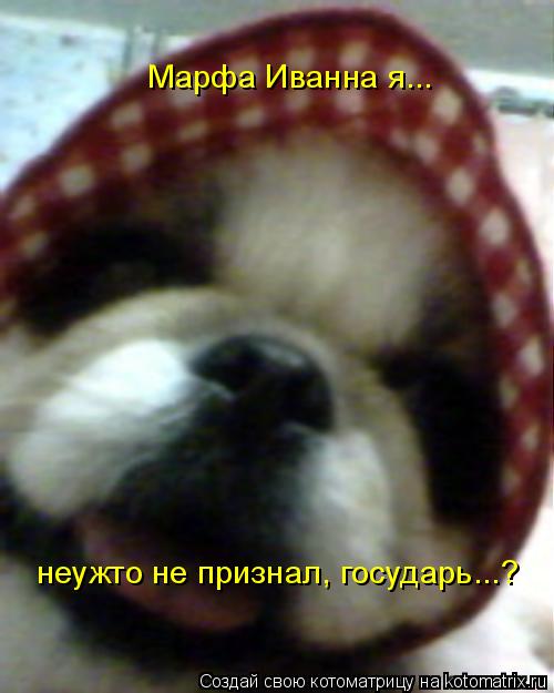 Марфа Иванна я... неужто не признал, государь...?... Котоматрица: Марфа Иванна я... неужто не признал, государь...?