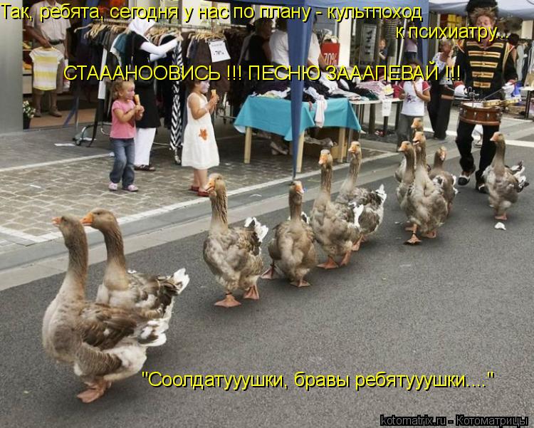 Так, ребята, сегодня у нас по плану - культпоход к психиатру... СТАААНООВИСЬ !!! ПЕСНЮ ЗАААПЕВАЙ !!... Котоматрица: Так, ребята, сегодня у нас по плану - культпоход к психиатру... СТАААНООВИСЬ !!! ПЕСНЮ ЗАААПЕВАЙ !!! "Соолдатууушки, бравы ребятууушки...."