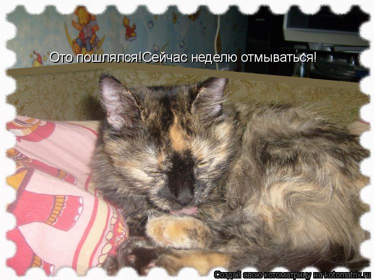 Ото пошлялся!Сейчас неделю отмываться!... Котоматрица: Ото пошлялся!Сейчас неделю отмываться!