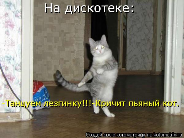 Котоматрица: На дискотеке: -Танцуем лезгинку!!!-Кричит пьяный кот.