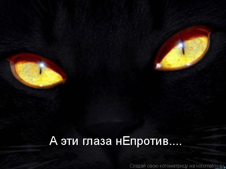 А эти глаза нЕпротив....... Котоматрица: А эти глаза нЕпротив....