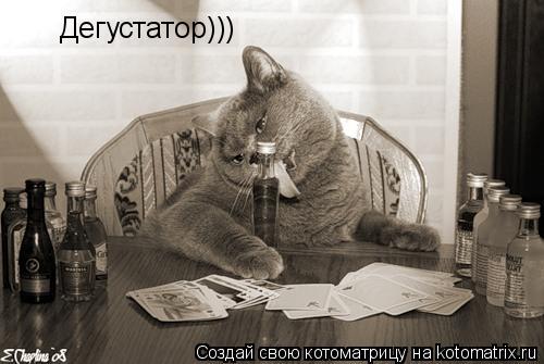 Дегустатор)))... Котоматрица: Дегустатор)))