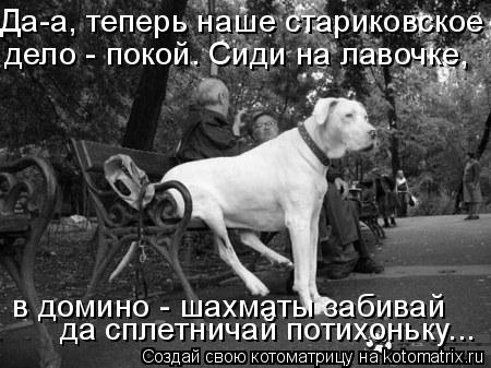 Да-а, теперь наше стариковское дело - покой. Сиди на лавочке, в домино - шахматы забивай да сплетнич... Котоматрица: Да-а, теперь наше стариковское дело - покой. Сиди на лавочке, в домино - шахматы забивай да сплетничай потихоньку...