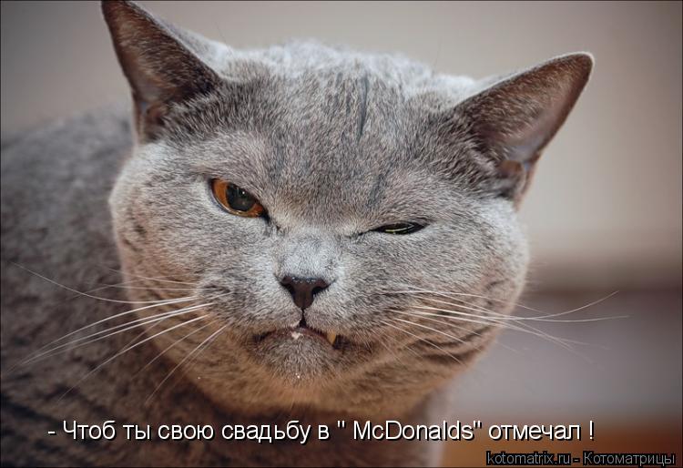 - Чтоб ты свою свадьбу в " McDonalds" отмечал !... Котоматрица: - Чтоб ты свою свадьбу в " McDonalds" отмечал !