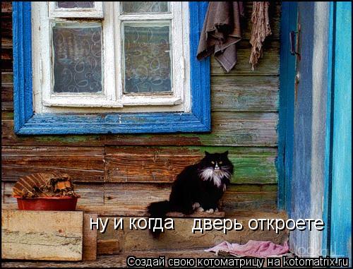 дверь откроете ну и когда... Котоматрица: дверь откроете ну и когда