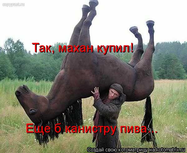 Так, махан купил! Еще б канистру пива...... Котоматрица: Так, махан купил! Еще б канистру пива...