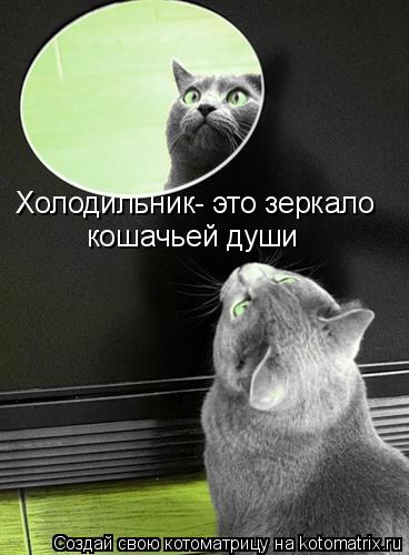 Холодильник- это зеркало кошачьей души... Котоматрица: Холодильник- это зеркало кошачьей души