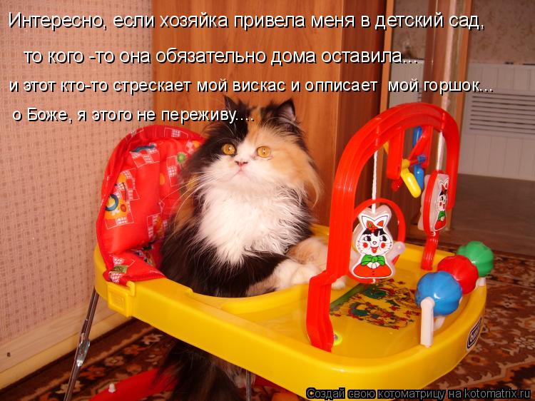 Интересно, если хозяйка привела меня в детский сад, то кого -то она обязательно дома оставила... и эт... Котоматрица: Интересно, если хозяйка привела меня в детский сад, то кого -то она обязательно дома оставила... и этот кто-то стрескает мой вискас и опписает