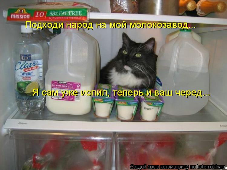 Я сам уже испил, теперь и ваш черед... Подходи народ на мой молокозавод...... Котоматрица: Я сам уже испил, теперь и ваш черед... Подходи народ на мой молокозавод...