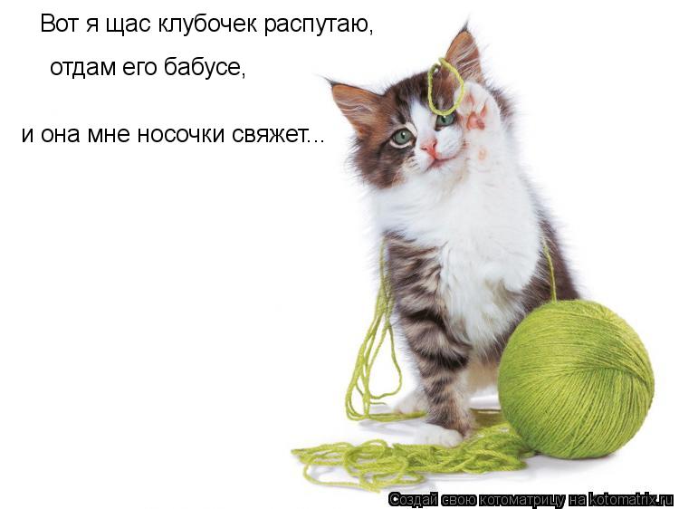 Вот я щас клубочек распутаю, отдам его бабусе, и она мне носочки свяжет...... Котоматрица: Вот я щас клубочек распутаю, отдам его бабусе, и она мне носочки свяжет...