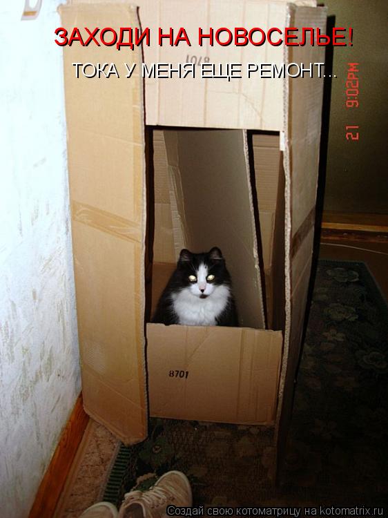 ЗАХОДИ НА НОВОСЕЛЬЕ! ТОКА У МЕНЯ ЕЩЕ РЕМОНТ...... Котоматрица: ЗАХОДИ НА НОВОСЕЛЬЕ! ТОКА У МЕНЯ ЕЩЕ РЕМОНТ...