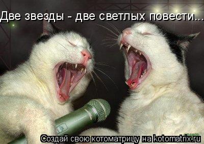 Две звезды - две светлых повести...... Котоматрица: Две звезды - две светлых повести...