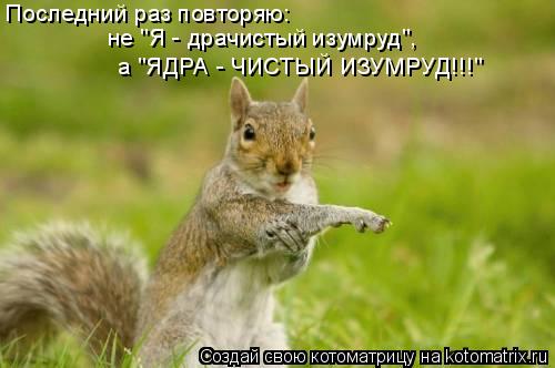 Последний раз повторяю: не "Я - драчистый изумруд", а "ЯДРА - ЧИСТЫЙ ИЗУМРУД!!!"... Котоматрица: Последний раз повторяю: не "Я - драчистый изумруд", а "ЯДРА - ЧИСТЫЙ ИЗУМРУД!!!"