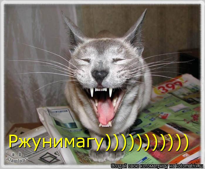 Котоматрица: Ржунимагу)))))))))))