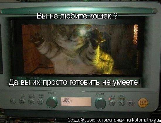 Вы не любите кошек!? Да вы их просто готовить не умеете!... Котоматрица: Вы не любите кошек!? Да вы их просто готовить не умеете!