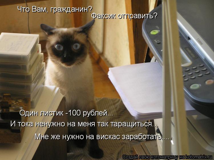 Что Вам, гражданин? Факсик отправить? Один листик -100 рублей... И тока ненужно на меня так таращить... Котоматрица: Что Вам, гражданин? Факсик отправить? Один листик -100 рублей... И тока ненужно на меня так таращиться... Мне же нужно на вискас заработать....
