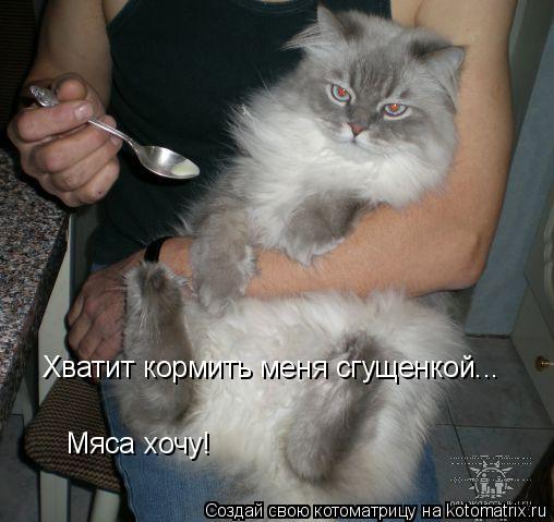 Хватит кормить меня сгущенкой... Мяса хочу!... Котоматрица: Хватит кормить меня сгущенкой... Мяса хочу!