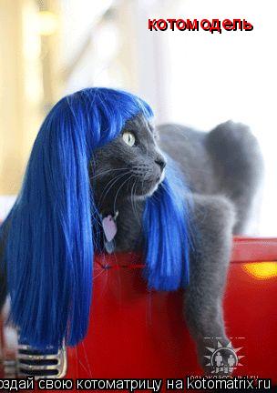 котомодель... Котоматрица: котомодель