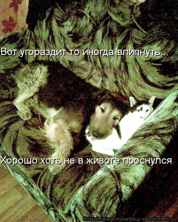 Вот угораздит то иногда влипнуть... Хорошо хоть не в животе проснулся... Котоматрица: Вот угораздит то иногда влипнуть... Хорошо хоть не в животе проснулся