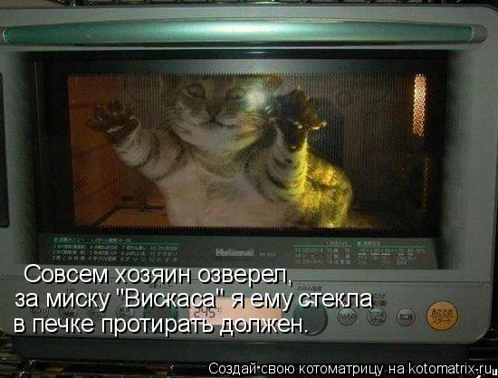 Совсем хозяин озверел, за миску "Вискаса" я ему стекла в печке протирать должен.... Котоматрица: Совсем хозяин озверел, за миску "Вискаса" я ему стекла в печке протирать должен.