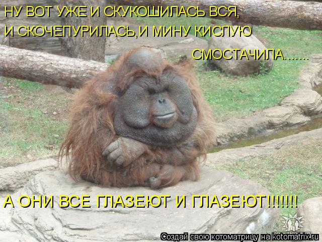 А ОНИ ВСЕ ГЛАЗЕЮТ И ГЛАЗЕЮТ!!!!!!! СМОСТАЧИЛА....... НУ ВОТ УЖЕ И СКУКОШИЛАСЬ ВСЯ, И СКОЧЕПУРИЛАСЬ,И ... Котоматрица: А ОНИ ВСЕ ГЛАЗЕЮТ И ГЛАЗЕЮТ!!!!!!! СМОСТАЧИЛА....... НУ ВОТ УЖЕ И СКУКОШИЛАСЬ ВСЯ, И СКОЧЕПУРИЛАСЬ,И МИНУ КИСЛУЮ