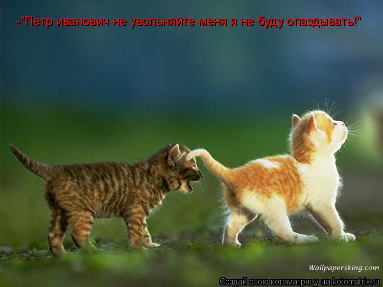 -"Петр иванович не увольняйте меня я не буду опаздывать!"... Котоматрица: -"Петр иванович не увольняйте меня я не буду опаздывать!"