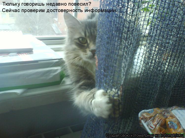 Тюльку говоришь недавно повесил? Сейчас проверим достоверность информации...... Котоматрица: Тюльку говоришь недавно повесил? Сейчас проверим достоверность информации...
